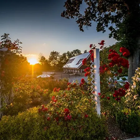 Nocleg ze śniadaniem Nowa Prowansja 3*