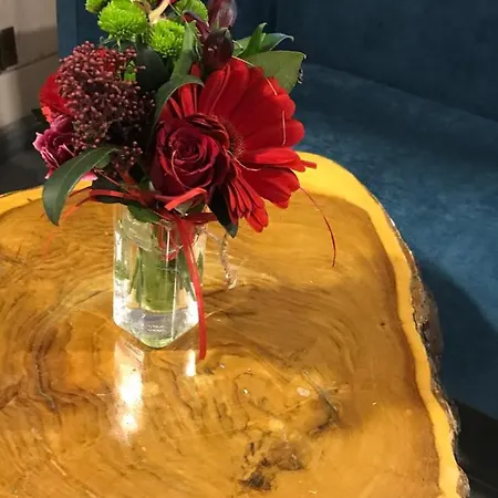 Nowa Prowansja Jelenia Góra