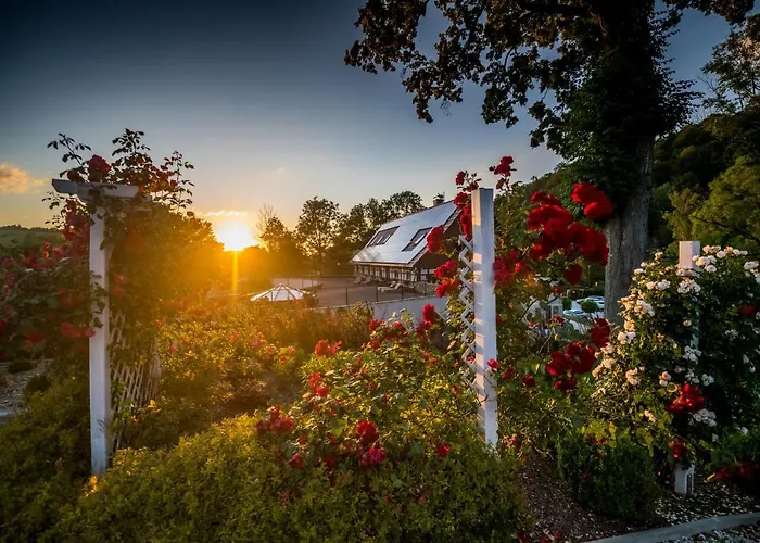 Bed & Breakfast Nowa Prowansja 3*