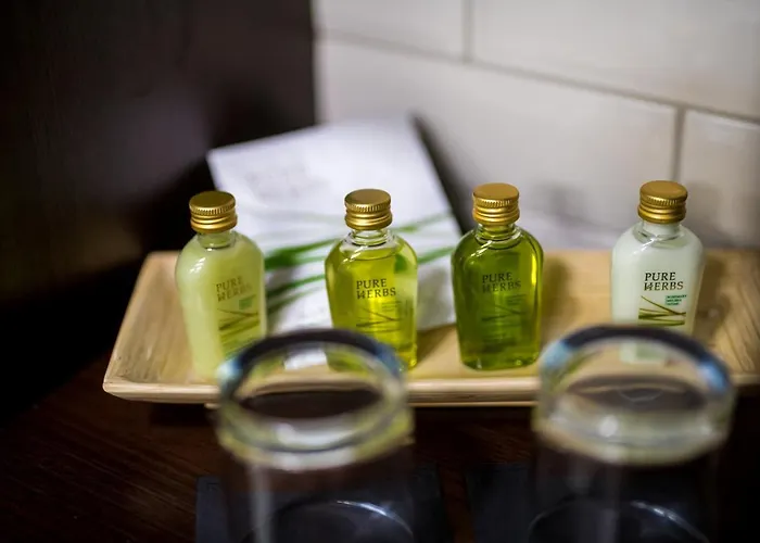 Nowa Prowansja Bed & Breakfast