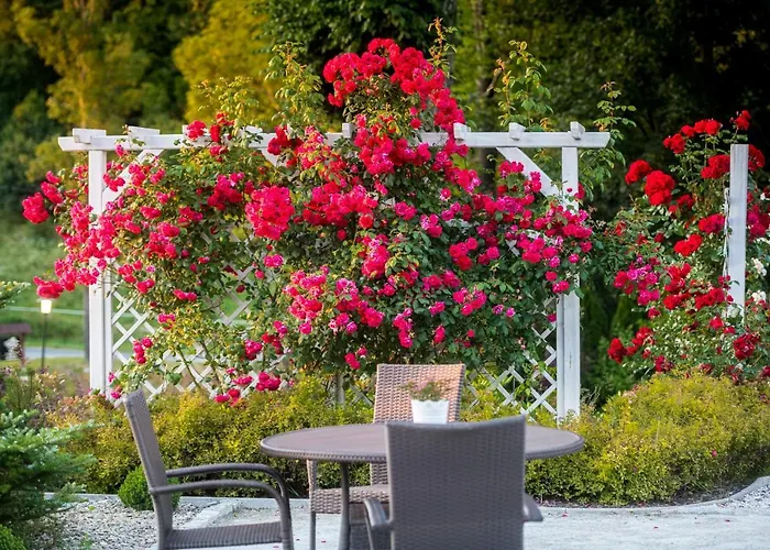 Nowa Prowansja Bed & Breakfast Jelení Hora