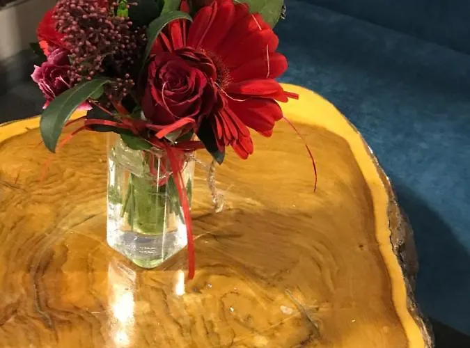 Nowa Prowansja Jelení Hora